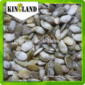 Green snow white pumpkin seed nuts & kernels